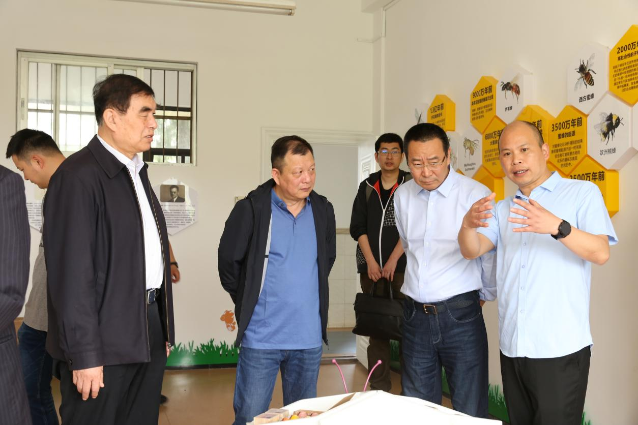 图1 范圣明书记带领宋心仿理事长、王俞兴董事长、章振东董事长参观玉华小学蜜蜂展览馆.png 图1 范圣明书记带领宋心仿理事长、王俞兴董事长、章振东董事长参观玉华小学蜜蜂展览馆.png