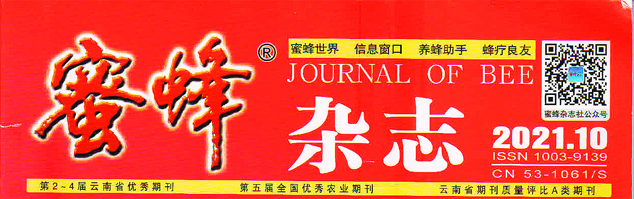 《蜜蜂杂志》2021年第10期封面.jpg 《蜜蜂杂志》2021年第10期封面.jpg
