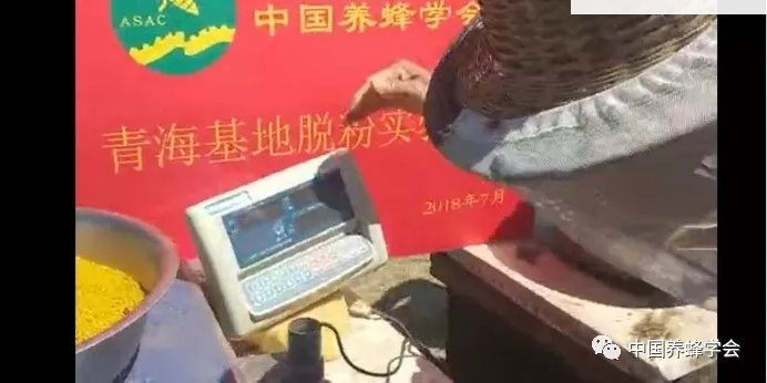 图片6.png 图片6.png