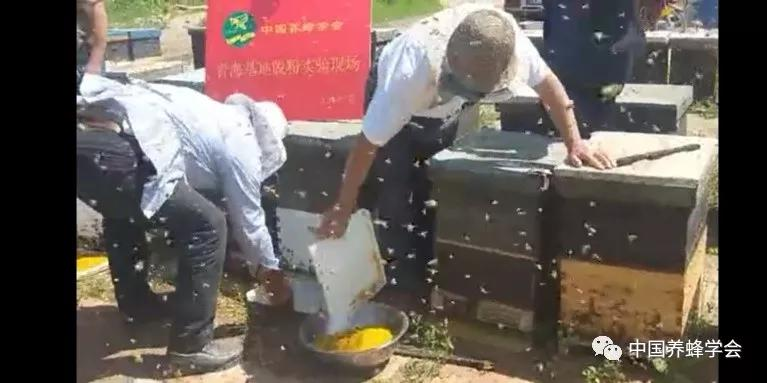 图片9.png 图片9.png