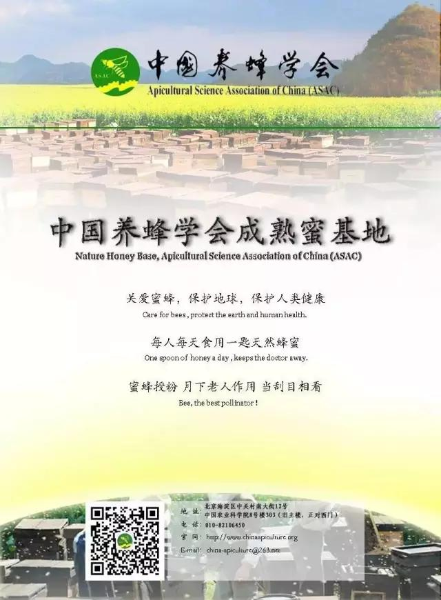 图片10.png 图片10.png