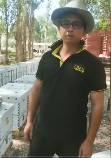 图片16.png 图片16.png