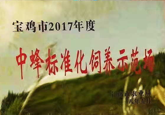 5.jpg 5.jpg