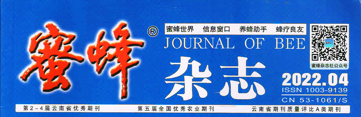 《蜜蜂杂志》2022年第4期封面.jpg 《蜜蜂杂志》2022年第4期封面.jpg